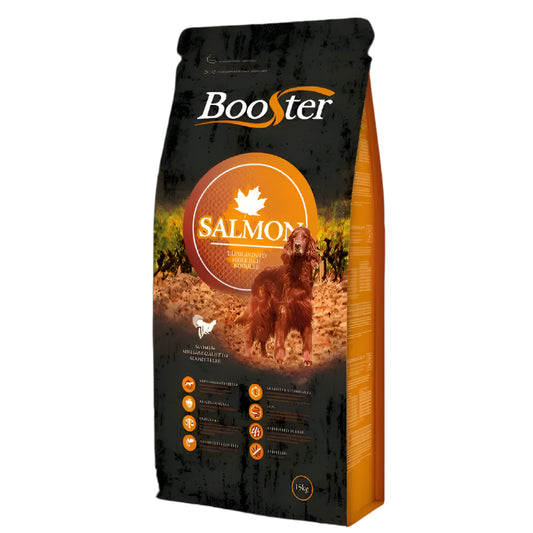 Booster Lohi