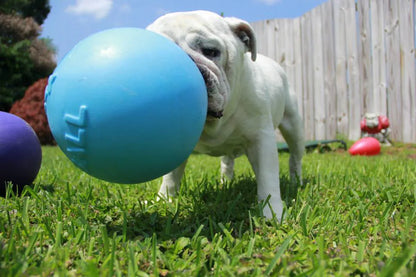 Koiranlelu Jolly Ball Tug-n-Toss, koirille